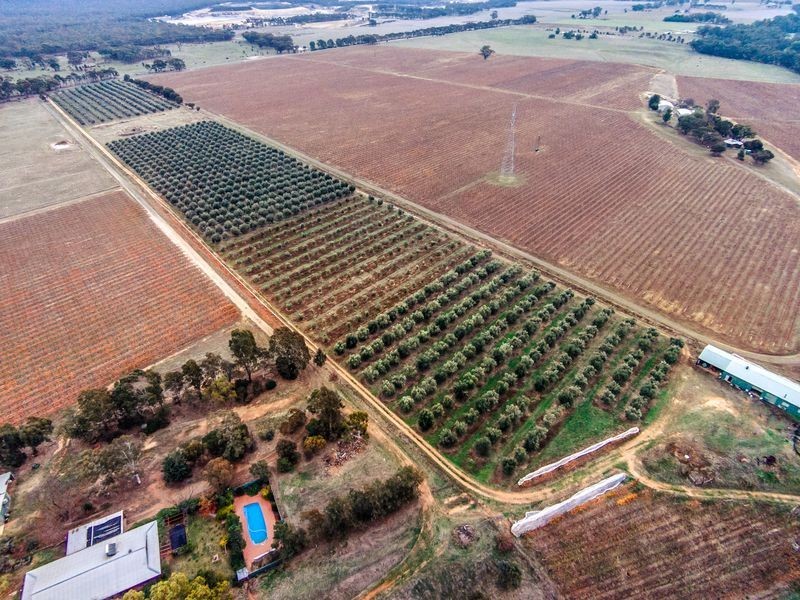 598 Axedale-Goornong Road, Axedale VIC 3551