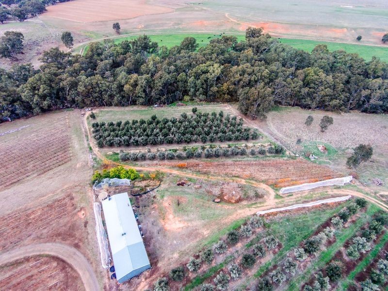 598 Axedale-Goornong Road, Axedale VIC 3551