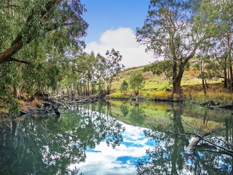 598 Axedale-Goornong Road, Axedale VIC 3551