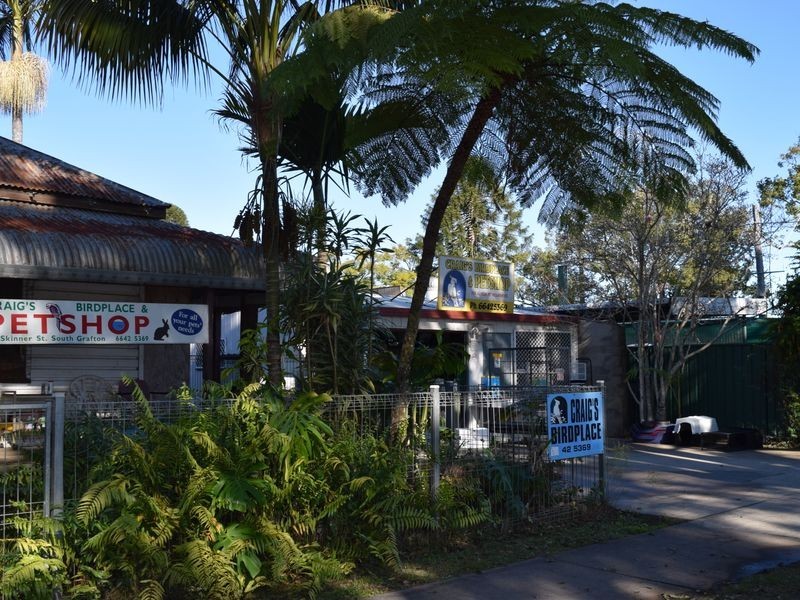 99 Skinner Street, South Grafton NSW 2460