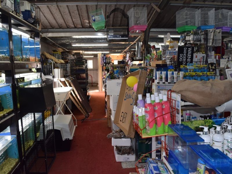 99 Skinner Street, South Grafton NSW 2460