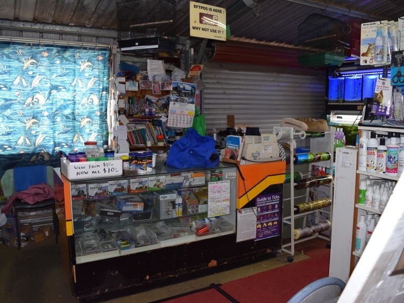 99 Skinner Street, South Grafton NSW 2460