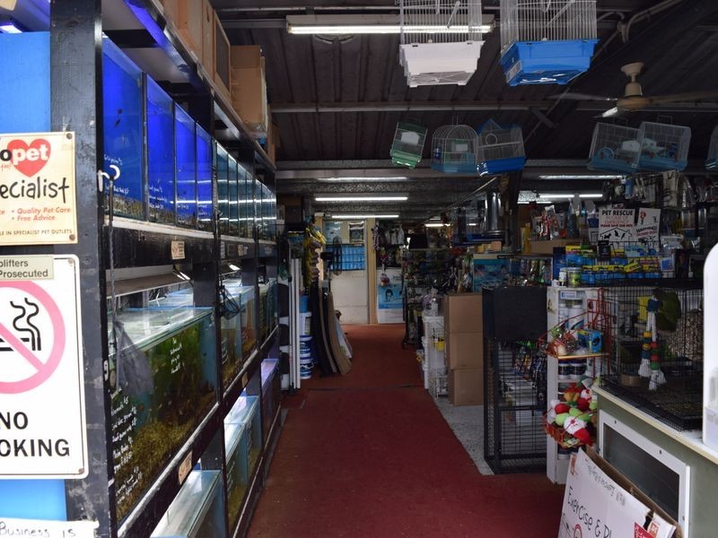 99 Skinner Street, South Grafton NSW 2460