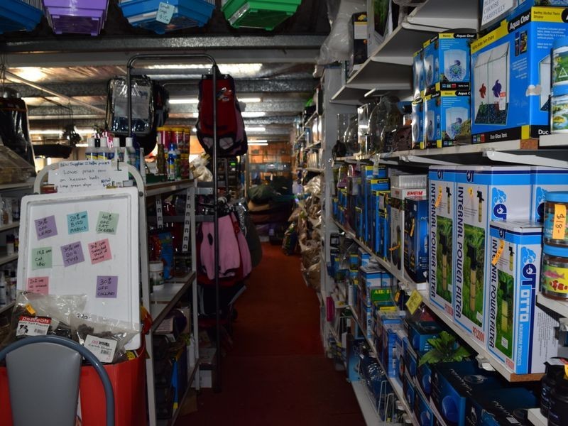 99 Skinner Street, South Grafton NSW 2460