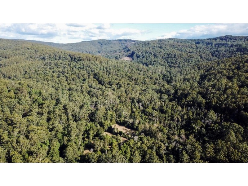 473 Athol Glen Road, Sherwood NSW 2450