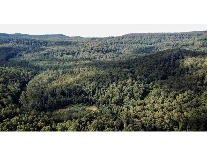 473 Athol Glen Road, Sherwood NSW 2450