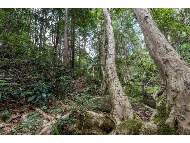 473 Athol Glen Road, Sherwood NSW 2450