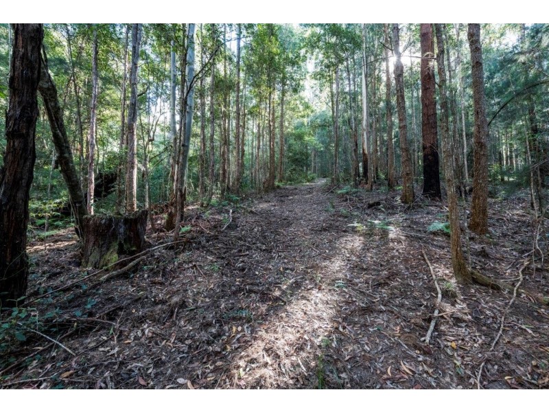 473 Athol Glen Road, Sherwood NSW 2450