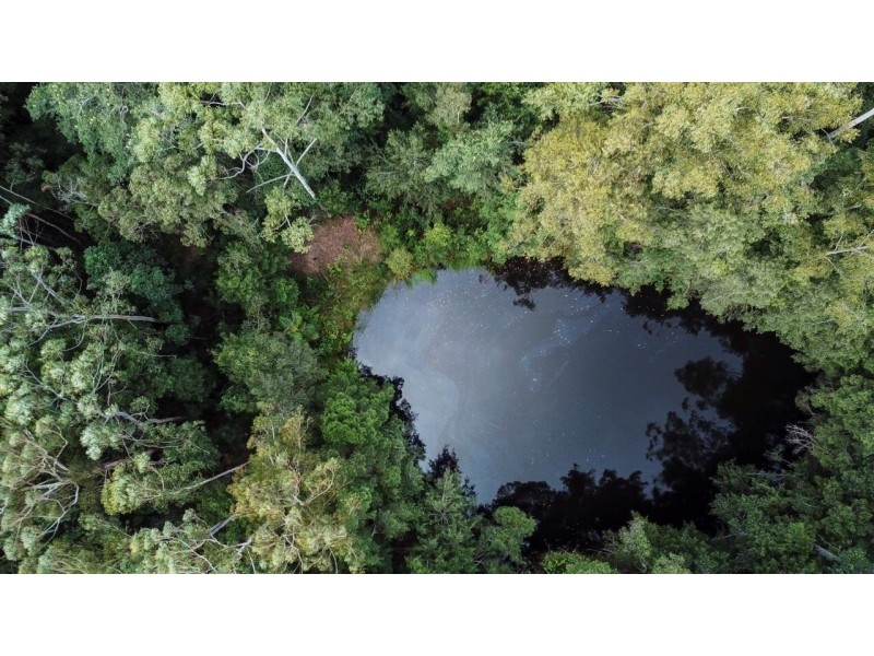 473 Athol Glen Road, Sherwood NSW 2450