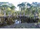 308 Sandy Swamp Road, Coutts Crossing NSW 2460