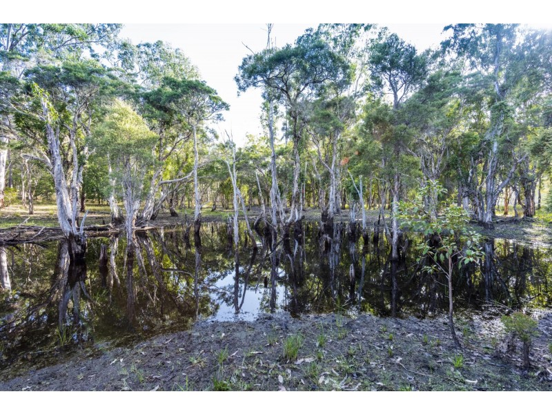 308 Sandy Swamp Road, Coutts Crossing NSW 2460