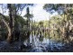 308 Sandy Swamp Road, Coutts Crossing NSW 2460