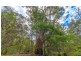 308 Sandy Swamp Road, Coutts Crossing NSW 2460