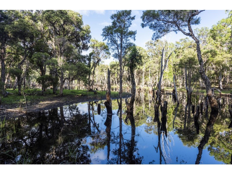 308 Sandy Swamp Road, Coutts Crossing NSW 2460