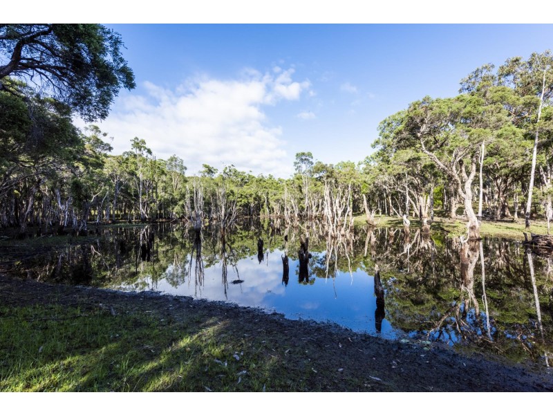 308 Sandy Swamp Road, Coutts Crossing NSW 2460