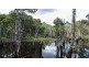 308 Sandy Swamp Road, Coutts Crossing NSW 2460
