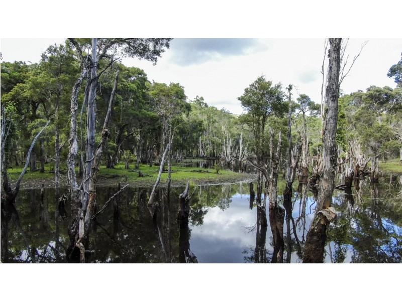 308 Sandy Swamp Road, Coutts Crossing NSW 2460
