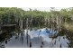 308 Sandy Swamp Road, Coutts Crossing NSW 2460