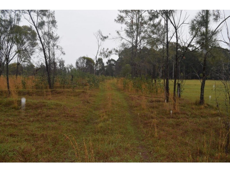 17 Citris Drive, Wells Crossing NSW 2460