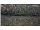 Lot 104-25 Ryans Gully Lane, Eatonsville NSW 2460