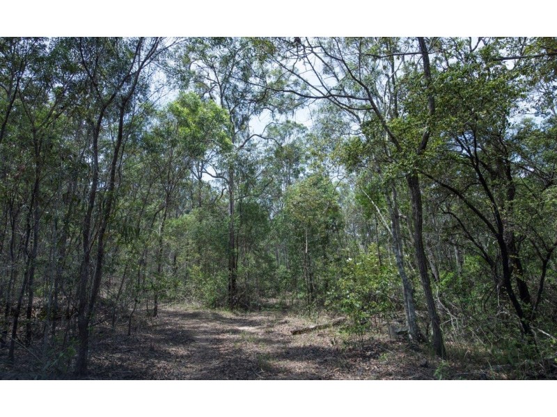 Lot 104-25 Ryans Gully Lane, Eatonsville NSW 2460