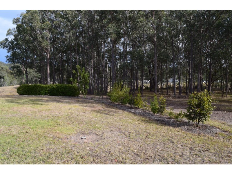657 Glens Creek Road, Nymboida NSW 2460