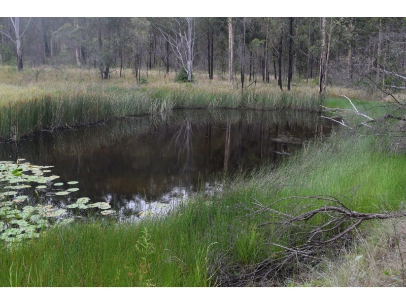 Lot 751 Smiths Creek Road, Upper Copmanhurst NSW 2460