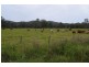 Lot 751 Smiths Creek Road, Upper Copmanhurst NSW 2460