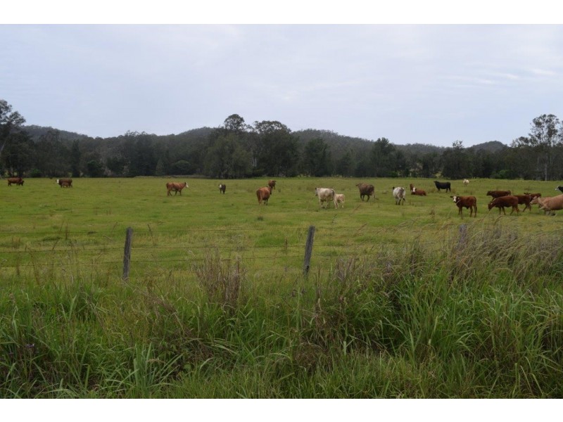 Lot 751 Smiths Creek Road, Upper Copmanhurst NSW 2460
