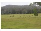 Lot 751 Smiths Creek Road, Upper Copmanhurst NSW 2460