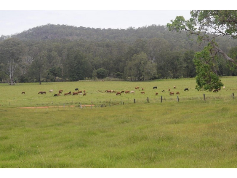 Lot 751 Smiths Creek Road, Upper Copmanhurst NSW 2460