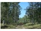 768 Coaldale Road, Fortis Creek NSW 2460