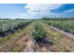 373 Big River way, Glenugie NSW 2460
