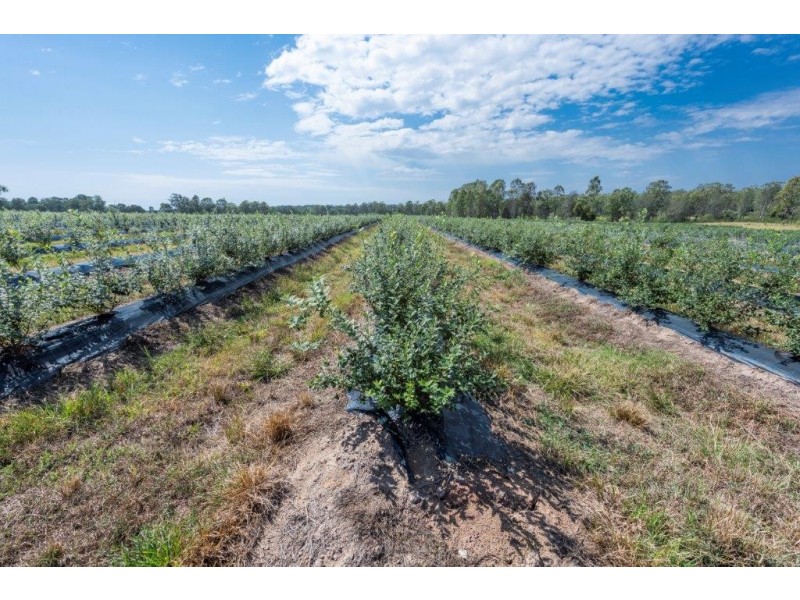 373 Big River way, Glenugie NSW 2460