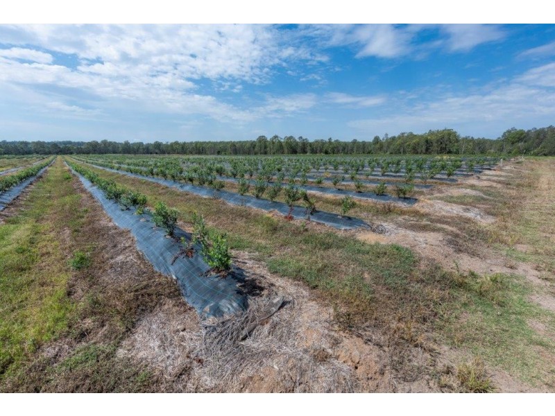 373 Big River way, Glenugie NSW 2460