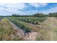 373 Big River way, Glenugie NSW 2460