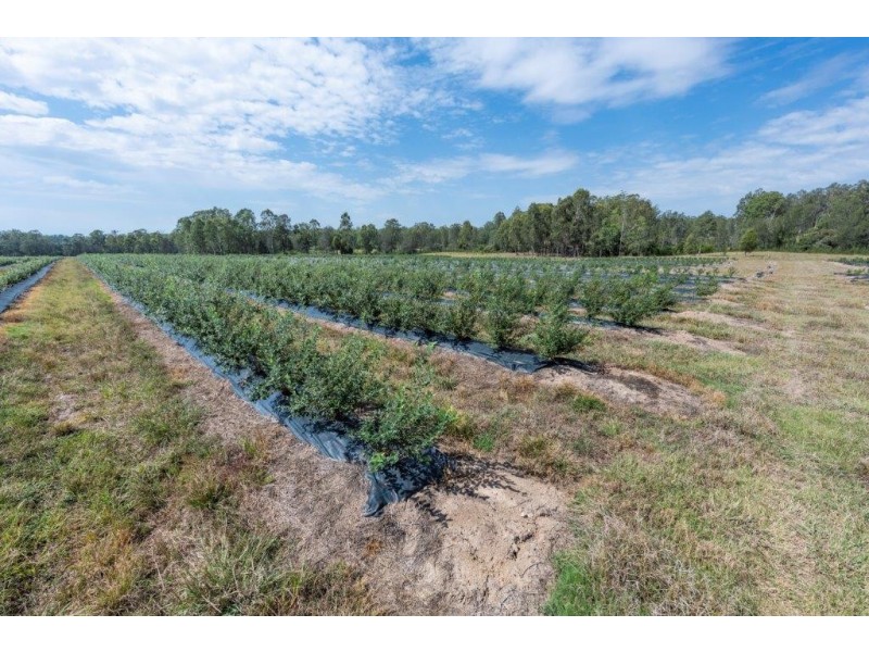 373 Big River way, Glenugie NSW 2460