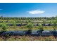 373 Big River way, Glenugie NSW 2460