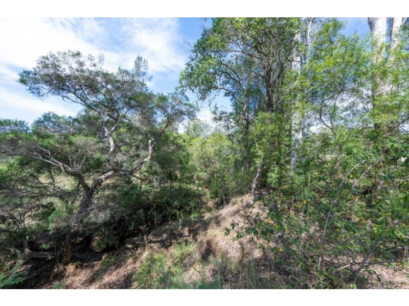 373 Big River way, Glenugie NSW 2460