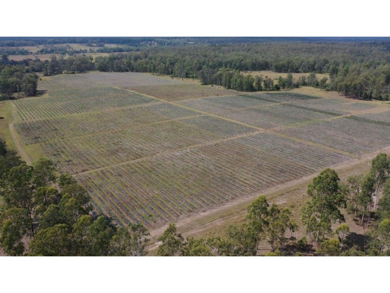 373 Big River way, Glenugie NSW 2460