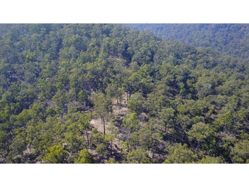 3418 Clarence Way, Upper Copmanhurst NSW 2460