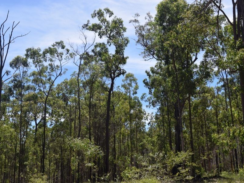 3418 Clarence Way, Upper Copmanhurst NSW 2460