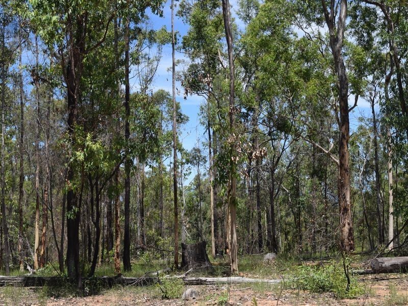 3418 Clarence Way, Upper Copmanhurst NSW 2460