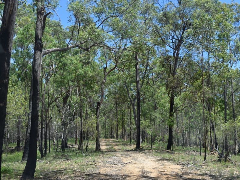 3418 Clarence Way, Upper Copmanhurst NSW 2460