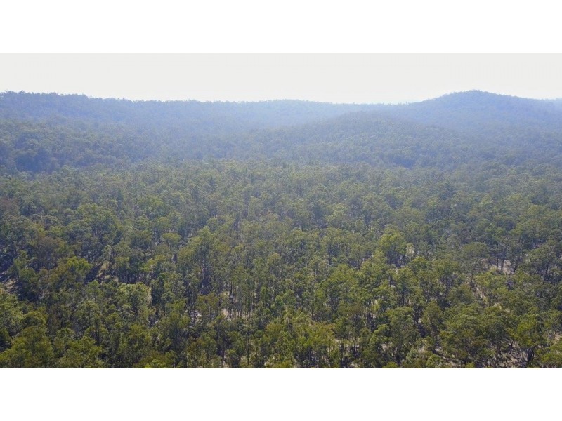 3418 Clarence Way, Upper Copmanhurst NSW 2460