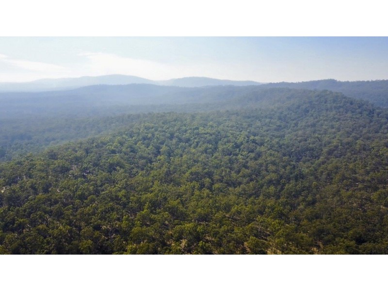 3418 Clarence Way, Upper Copmanhurst NSW 2460