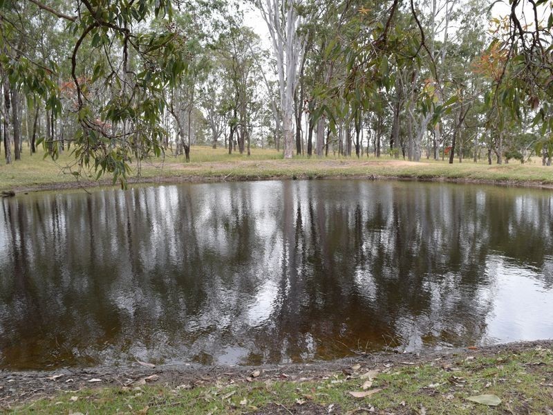 57 Ellem Lane, The Whiteman NSW 2460