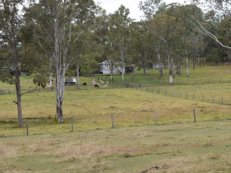 57 Ellem Lane, The Whiteman NSW 2460