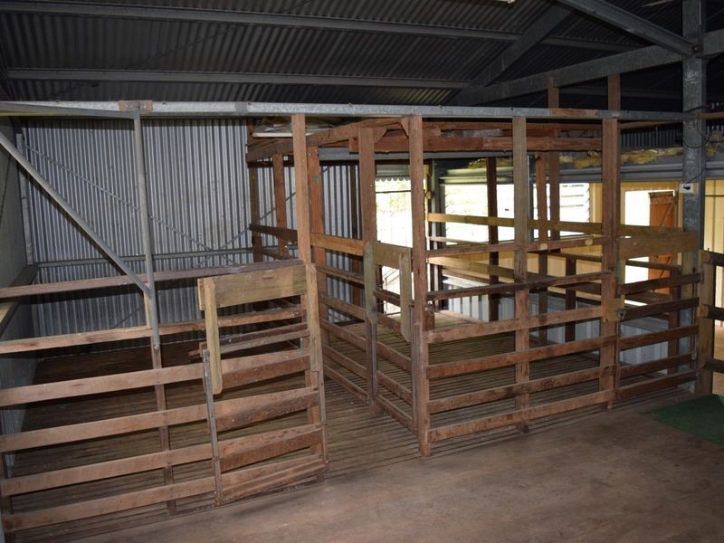 57 Ellem Lane, The Whiteman NSW 2460