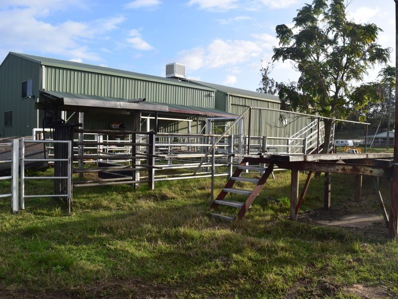 Tyson Street, South Grafton NSW 2460